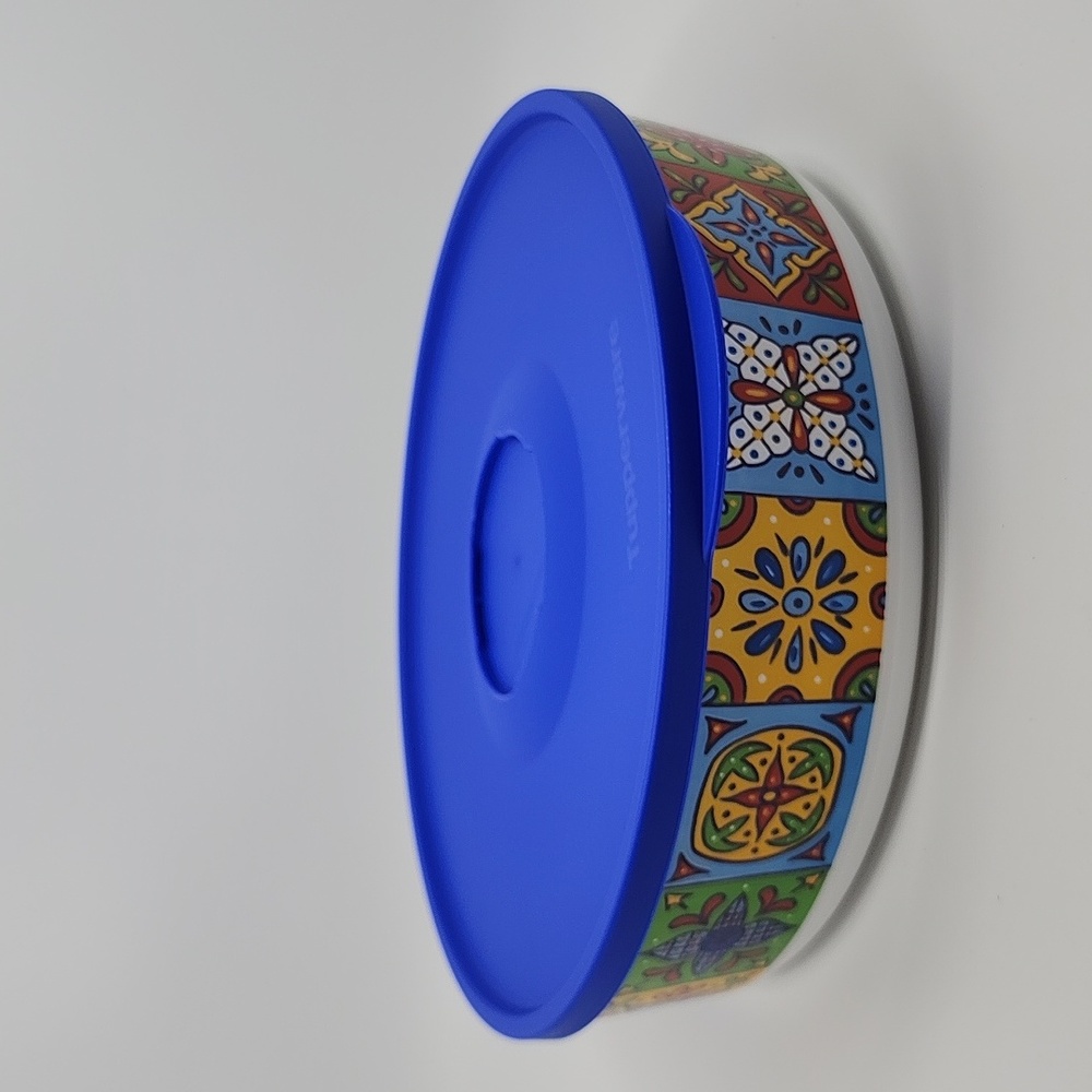 Tupperware Talavera Serving Bowl New